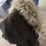 Zara coat womens! Image 5