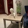 occaisional table Image 4