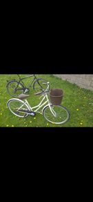 Dawes Womens bike