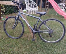 Teen or adult CROSS Malvern BIKE 28in wheel size