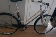 Vintage bike