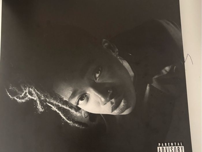Little simz grey area vinyl