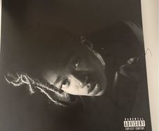 Little simz grey area vinyl