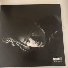 Little simz grey area vinyl