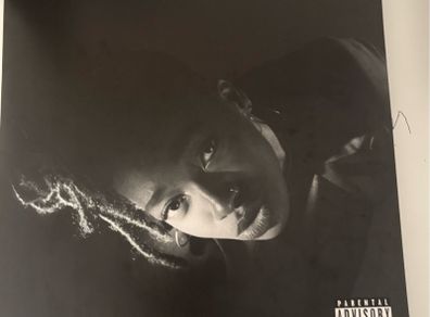 Little simz grey area vinyl