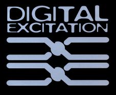 Digital Excitation - Sunburst 12"vinyl