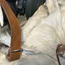 1 Handcrafted Goat Skin Bag with Long Leather Shoulder Strap and an Antler Toggle Image 5