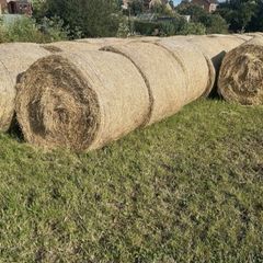Hay