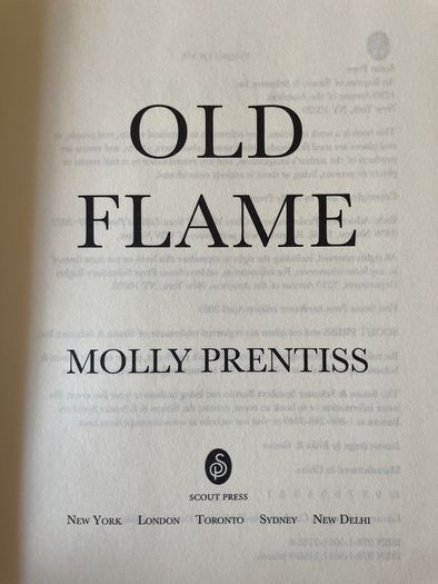Old Flame, A Novel