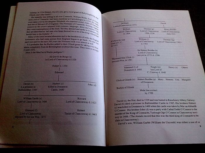 Donamon a history of the castle and its owners Ireland Irish Roscommon history