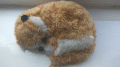 immitation of cat ,toy