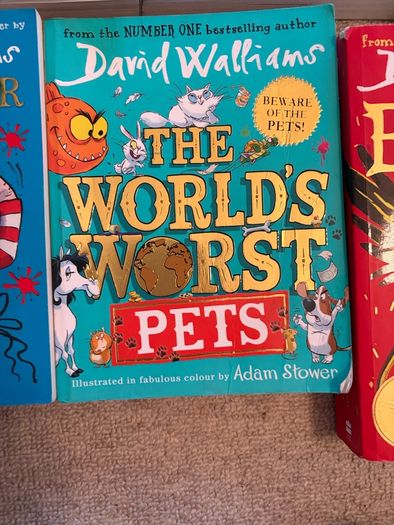 Various David Walliams Books