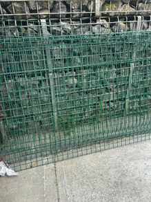 dog run