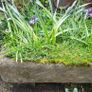 Stone trough/planter Image 5
