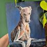 #2 Spanish Greyhound / Galgo Espaniol / oil painting on canvas panel Image 7