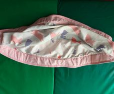 baby hip seat