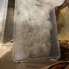 Large box of drinking glasses