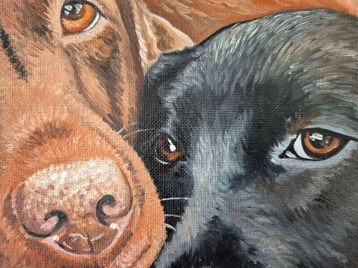 Black & Chocolate Labrador - oil painting