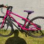 Kuda Trace 26 small Image 3