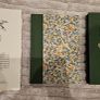 Peter Pan Conversation Tree Press Limited Edition 1 of only 500 produced, Illustrated and signed by the Artist Image 2