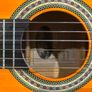 Tanglewood Discovery DBT12 1/2 Size Classical Acoustic Guitar Image 7