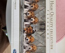 puppies puzzle