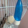 Bird Cage Image 10