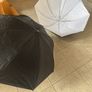 Elinchrom D Lite RX4 studio lights x 3 plus extras Image 5