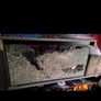 hamster cage and accessories Image 2