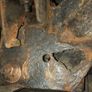 N c t   or. Doe. chassiss repair Image 4