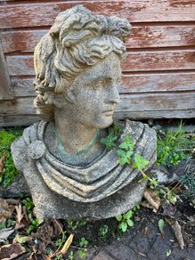 Bust