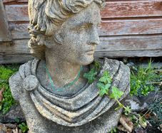 Bust