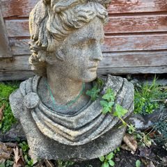 Bust