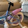 Bike Frozen Image 4