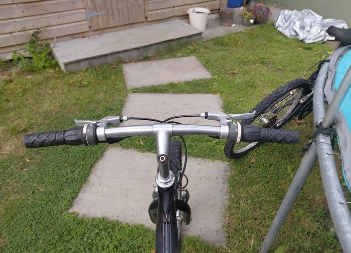 retro adult mountain bike
