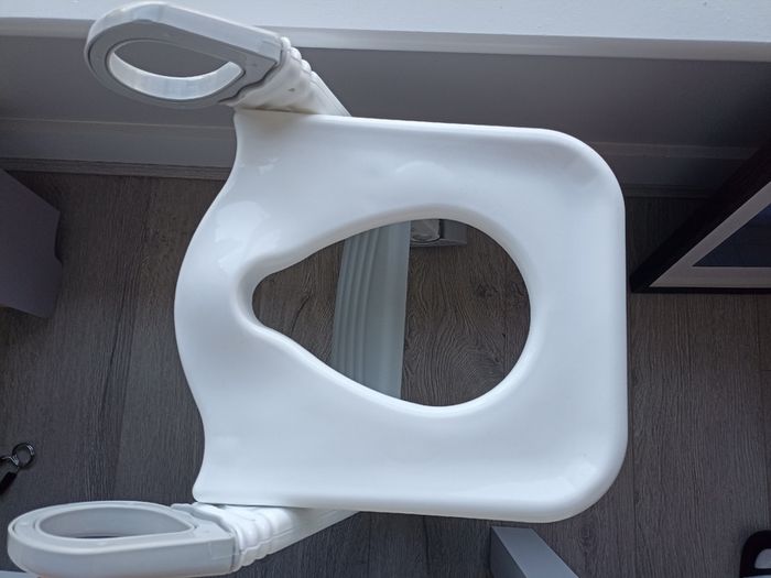 Toilet seat