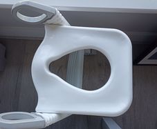 Toilet seat
