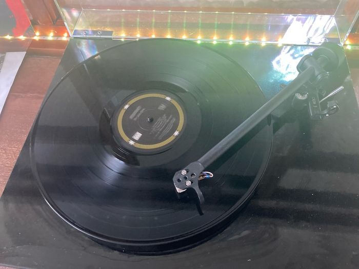 Mudhoney - The Lucky Ones (Limited Edition)