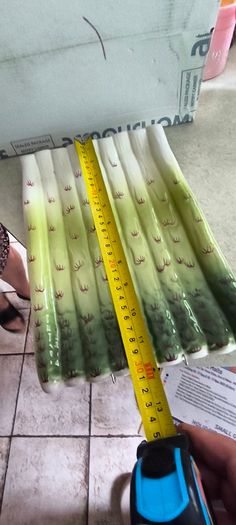 Vintage ceramic asparagus plate, asparagus bowl, hand-painted or as hanging plate