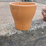 flower pots Image 2