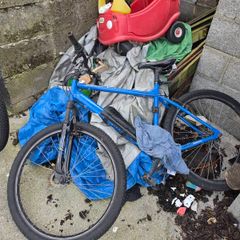 3 bikes