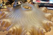 French frosted light shade