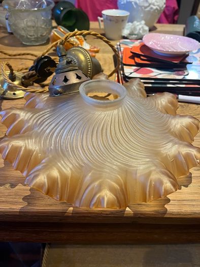 French frosted light shade