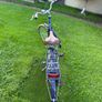 Adult Bike Image 4