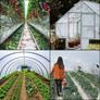 Greenhouse Polyethylene Film 0.1524 mm Thickness, Greenhouse Plastic Greenhouse Clear Plastic Film UV Resistant, Polyethylene Film Keep Warming, Superior Toughness Image 6
