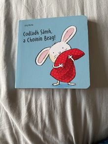 Irish language children's book