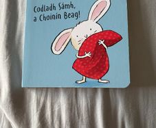 Irish language children's book