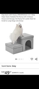 Dog or Cat steps.