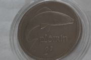 Irish Florin in case