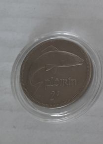 Irish Florin in case
